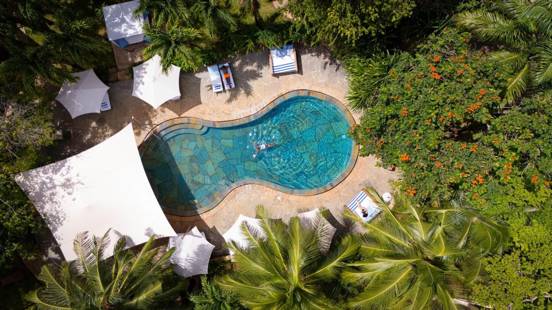 A curving pool among white shade sails and tropical plants at Almanara, seen from above