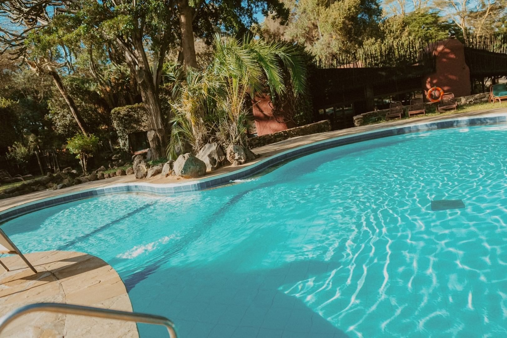 Curving blue swimming pool at Amboseli Serena Safari Lodge, edged by palms and leafy gardens