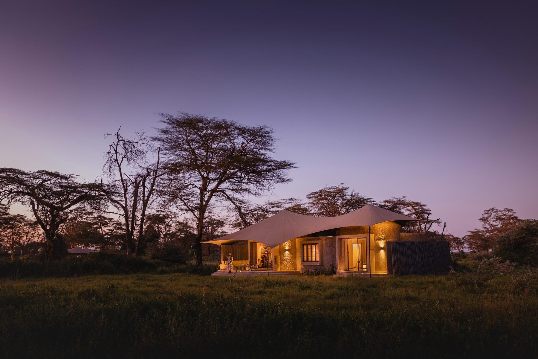 Lit canvas-roofed suite at Angama Amboseli among fever trees under a purple dusk sky