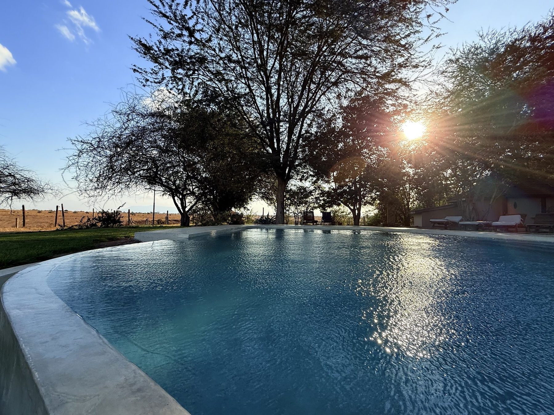 Swimming pool at Ashnil Aruba Lodge catching the low sun, framed by tall trees and a green lawn