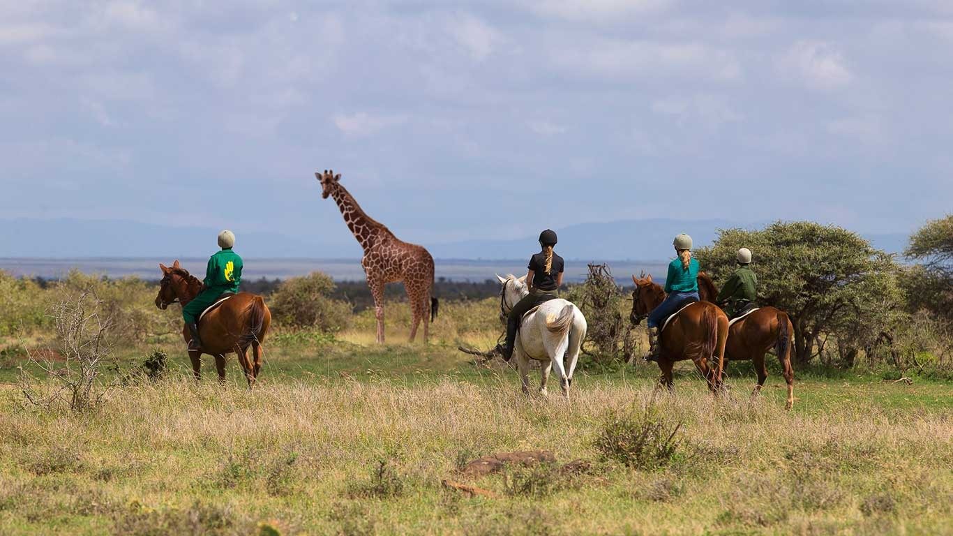 Horseback riders crossing open grassland past a giraffe on a ride from Elewana Loisaba Tented Camp