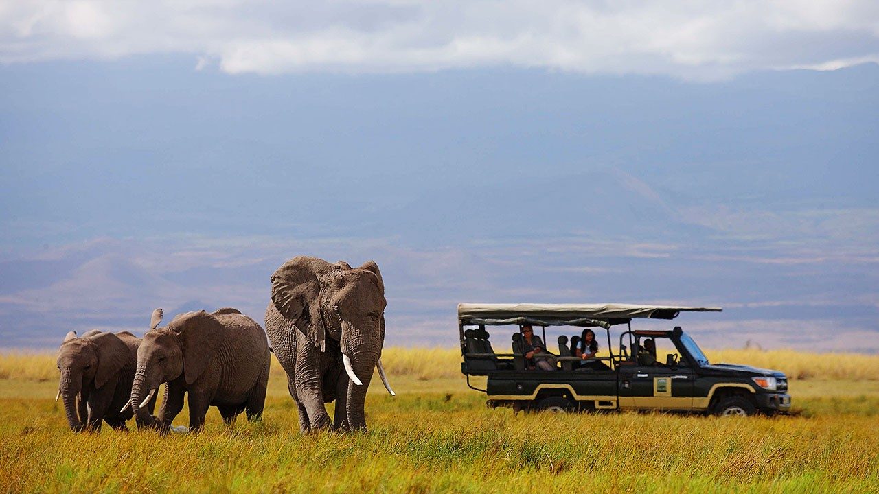 Open safari vehicle watching three elephants on green grassland near Elewana Tortilis Camp Amboseli, with mountains behind