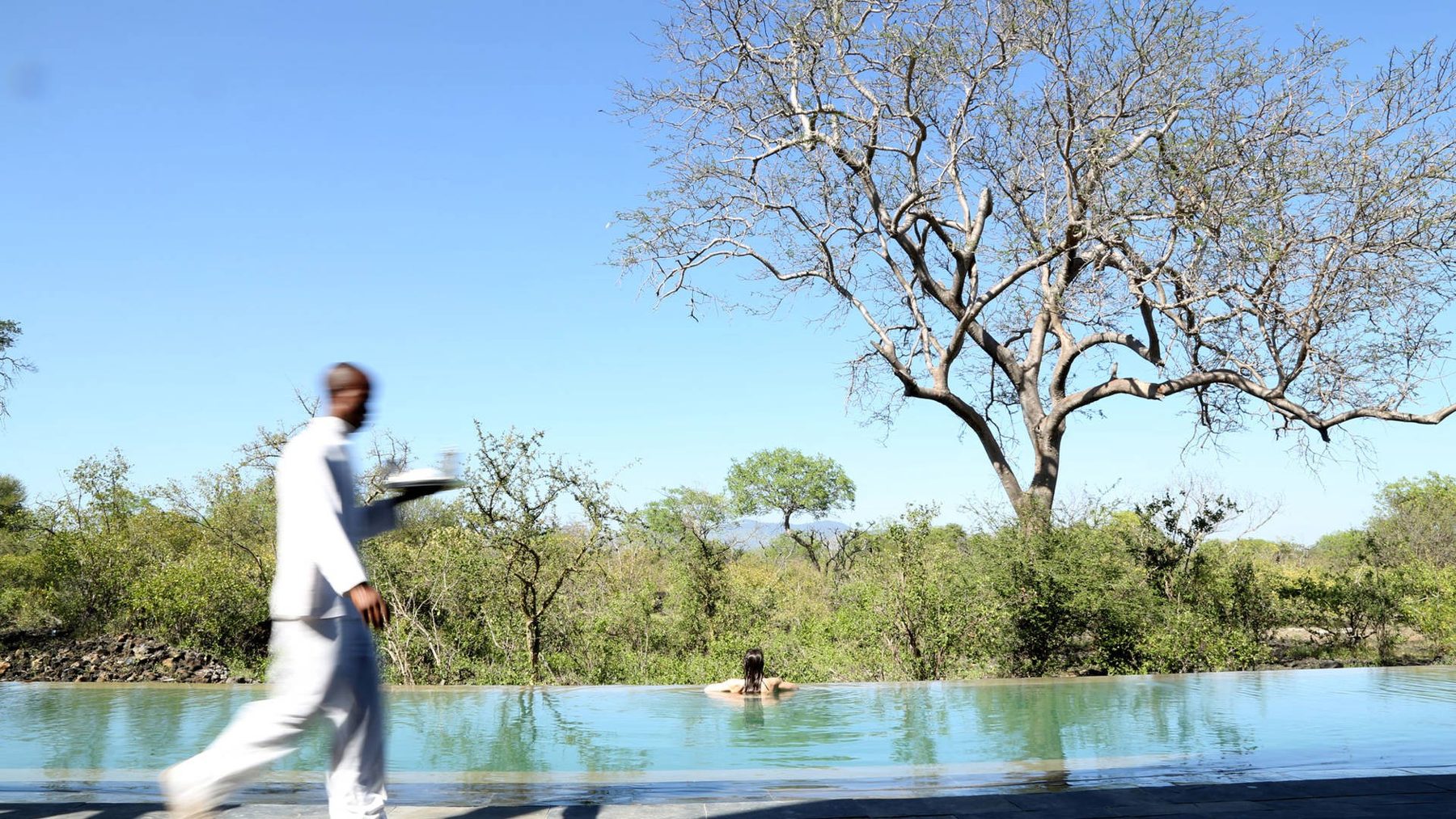 Waiter carrying a tray past the infinity pool at Finch Hattons, with a guest swimming and bush beyond