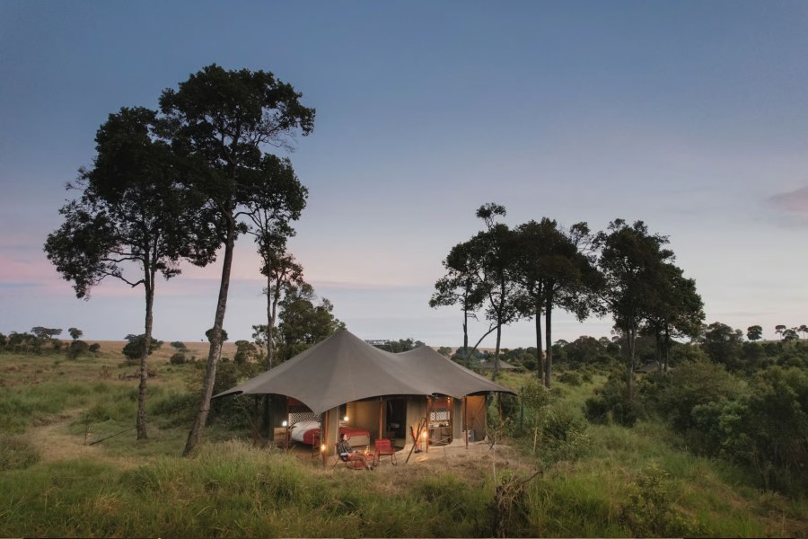 Lit canvas tent among tall trees in the grassland at Angama Safari Camp at dusk