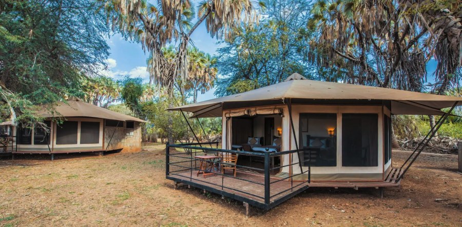 Two canvas tents on raised wooden decks under doum palms and acacia trees at Ashnil Samburu Camp
