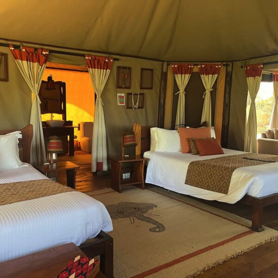Tent at Elephant Bedroom Camp with two beds, an elephant rug and an open bathroom behind curtains