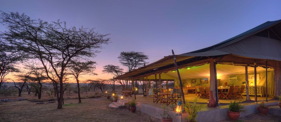 Lit dining tent beside acacia trees at dusk at Kicheche Bush Olare in the Olare Motorogi Conservancy