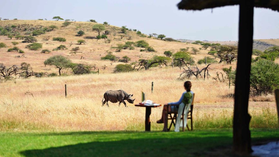 Guest seated at a table on the lawn at Elewana Kifaru House watching a rhino walk through the dry grass nearby