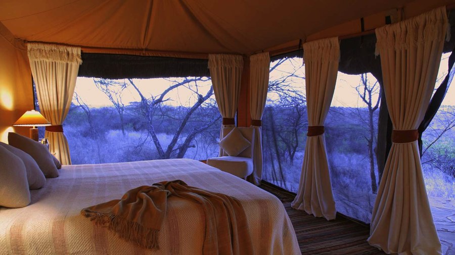 Tent at Elewana Lewa Safari Camp with a bed facing tied-back curtains and mesh walls looking onto bare trees at dusk
