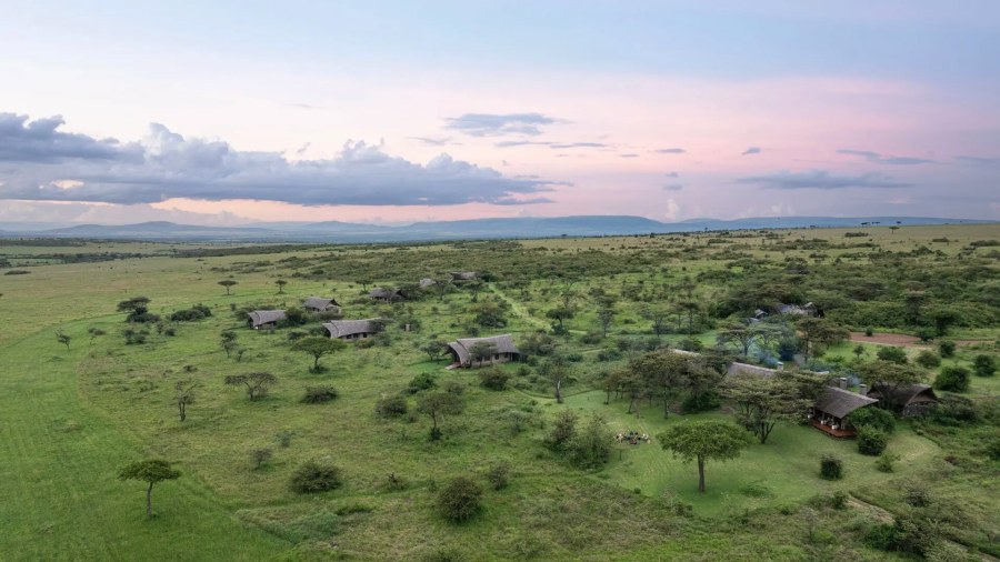 Aerial view of Naboisho Camp tents scattered among trees on green plains in the Mara Naboisho Conservancy