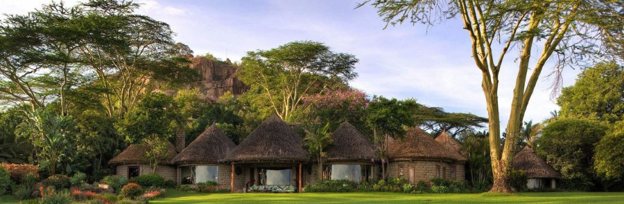 Row of round thatched cottages on a green lawn at Ol Jogi, with tall trees and a rocky hill behind