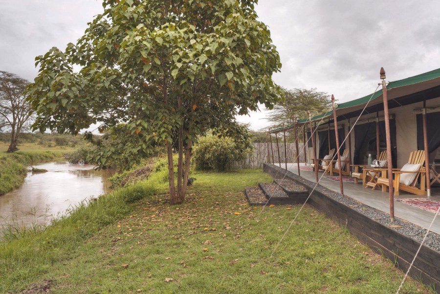 Row of tents with wooden deck chairs on their verandas beside a river at Ol Pejeta Bush Camp