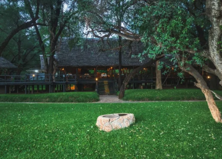 Thatched main building on a raised wooden deck behind a lawn and trees at Samburu Intrepids