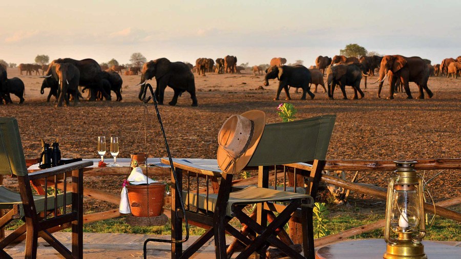 Safari chairs and a table with drinks and binoculars facing a herd of red-dusted elephants at Satao Camp