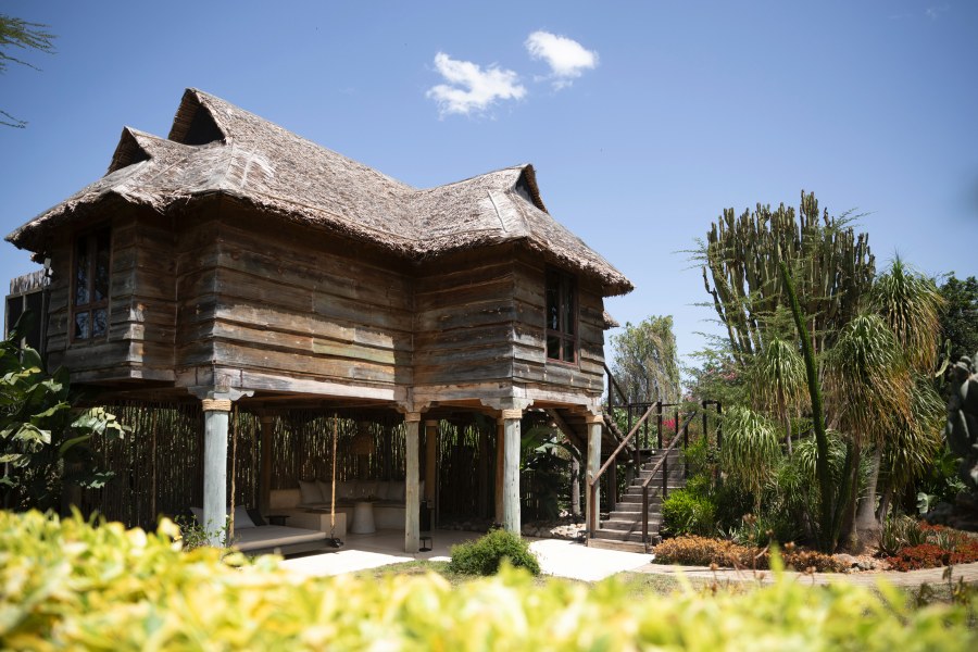 Wooden villa with a thatched roof raised on posts, in a garden of cactus and palms at Segera Retreat