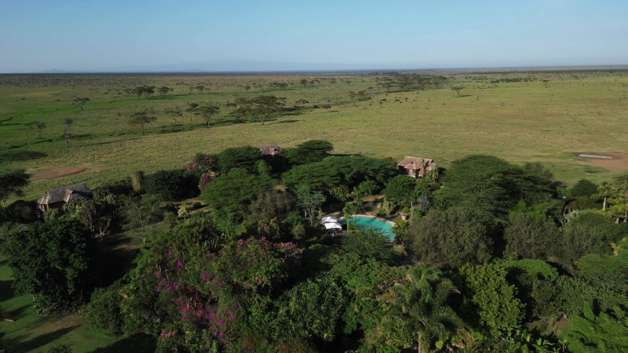 Aerial view of villas and a pool among garden trees, with open grassland beyond, at Segera Retreat
