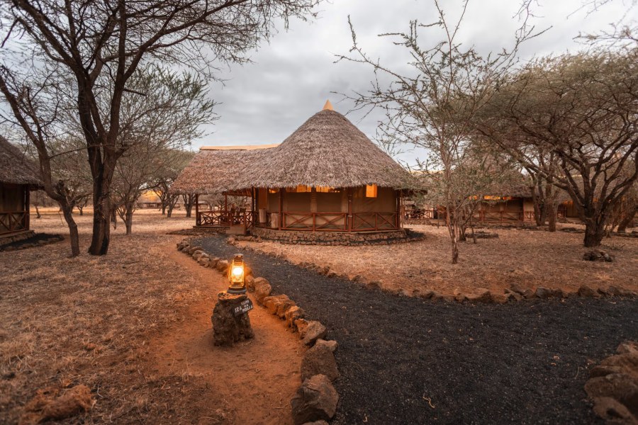 Thatched round tent among acacia trees, with a lantern on a stone-lined path, at Severin Safari Camp