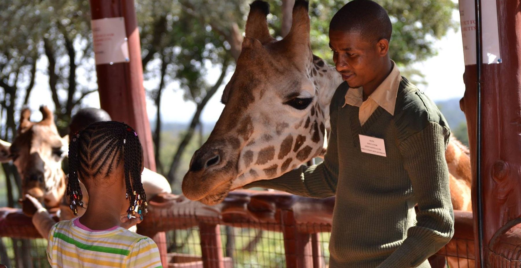 A young girl feeding a Rothschild’s giraffe from a raised platform at the Giraffe Centre in Karen, with a keeper beside her