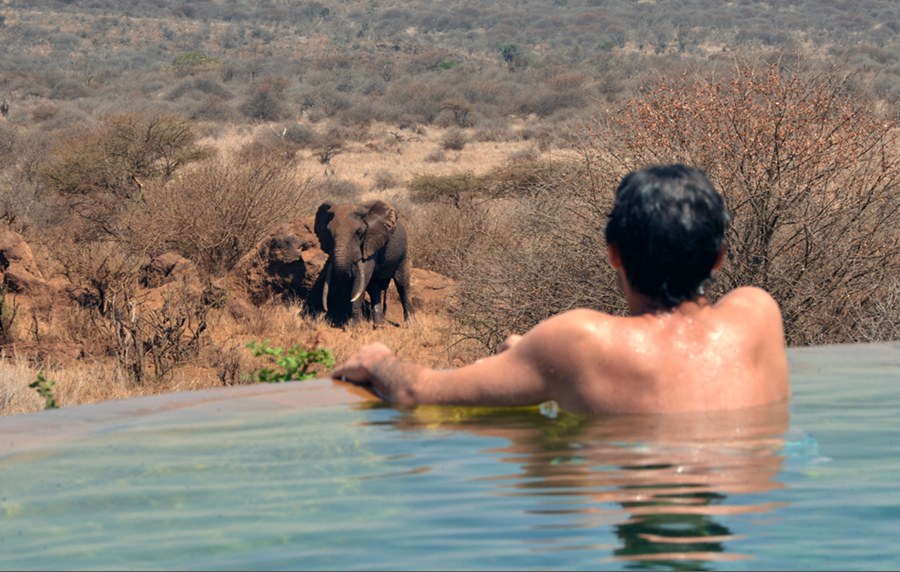 Man in an infinity pool watching an elephant in dry bush in the Elerai Conservation Area