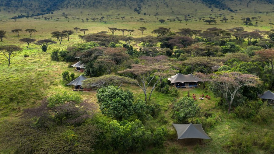 Aerial view of canvas tents among acacia trees on green hills in the Mara Triangle