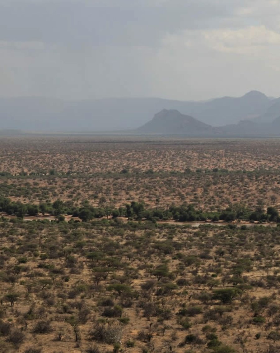 View over dry acacia bush to distant hills in the Westgate Conservancy