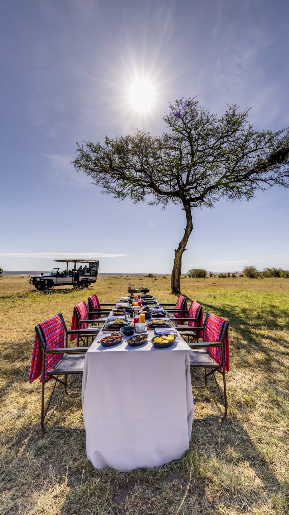 Long table set for breakfast beneath a lone acacia on the open plains, with a game drive vehicle parked behind