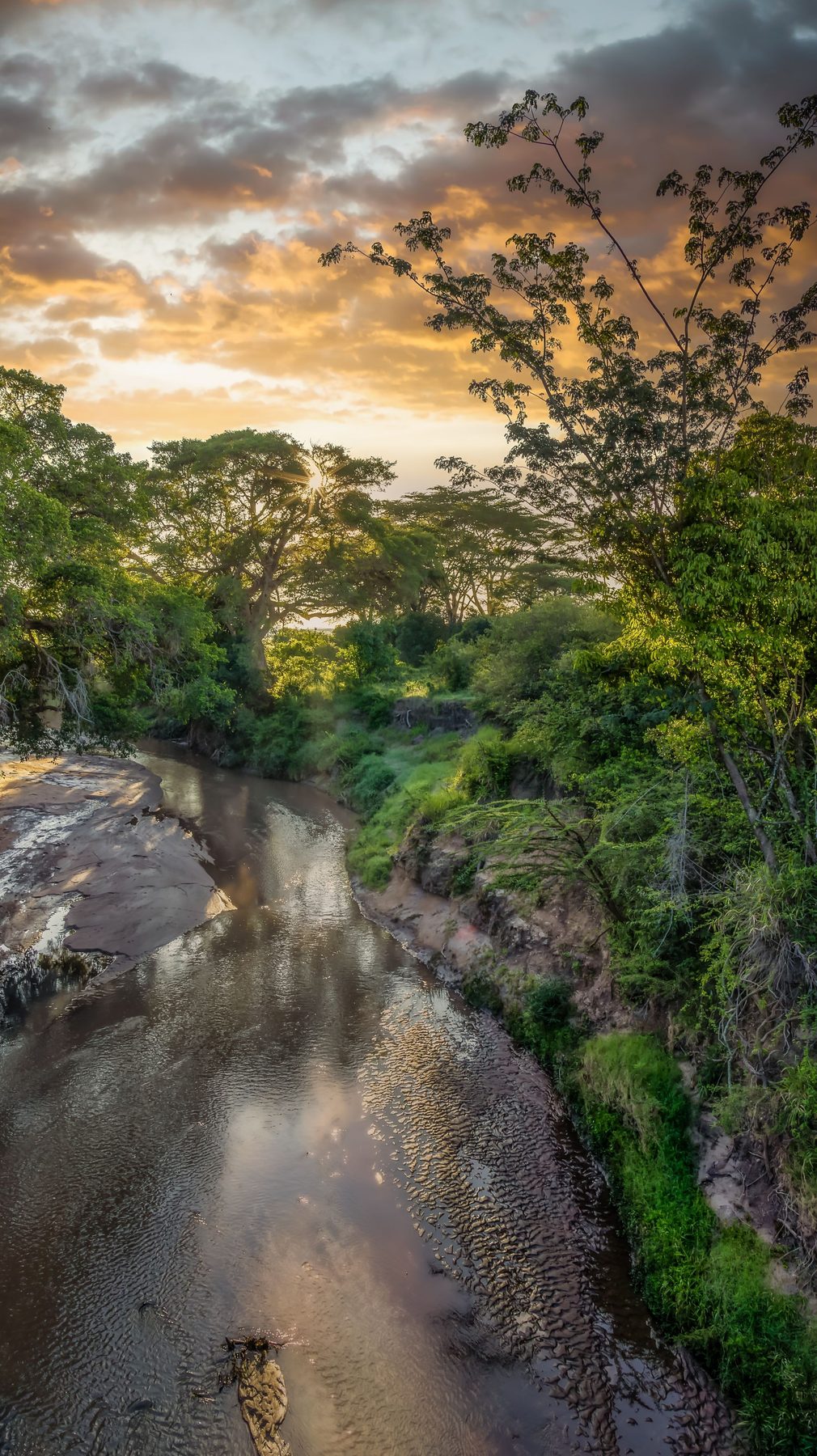 Muddy river winding between rocky banks and thick green trees below JW Marriott Masai Mara Lodge at sunset