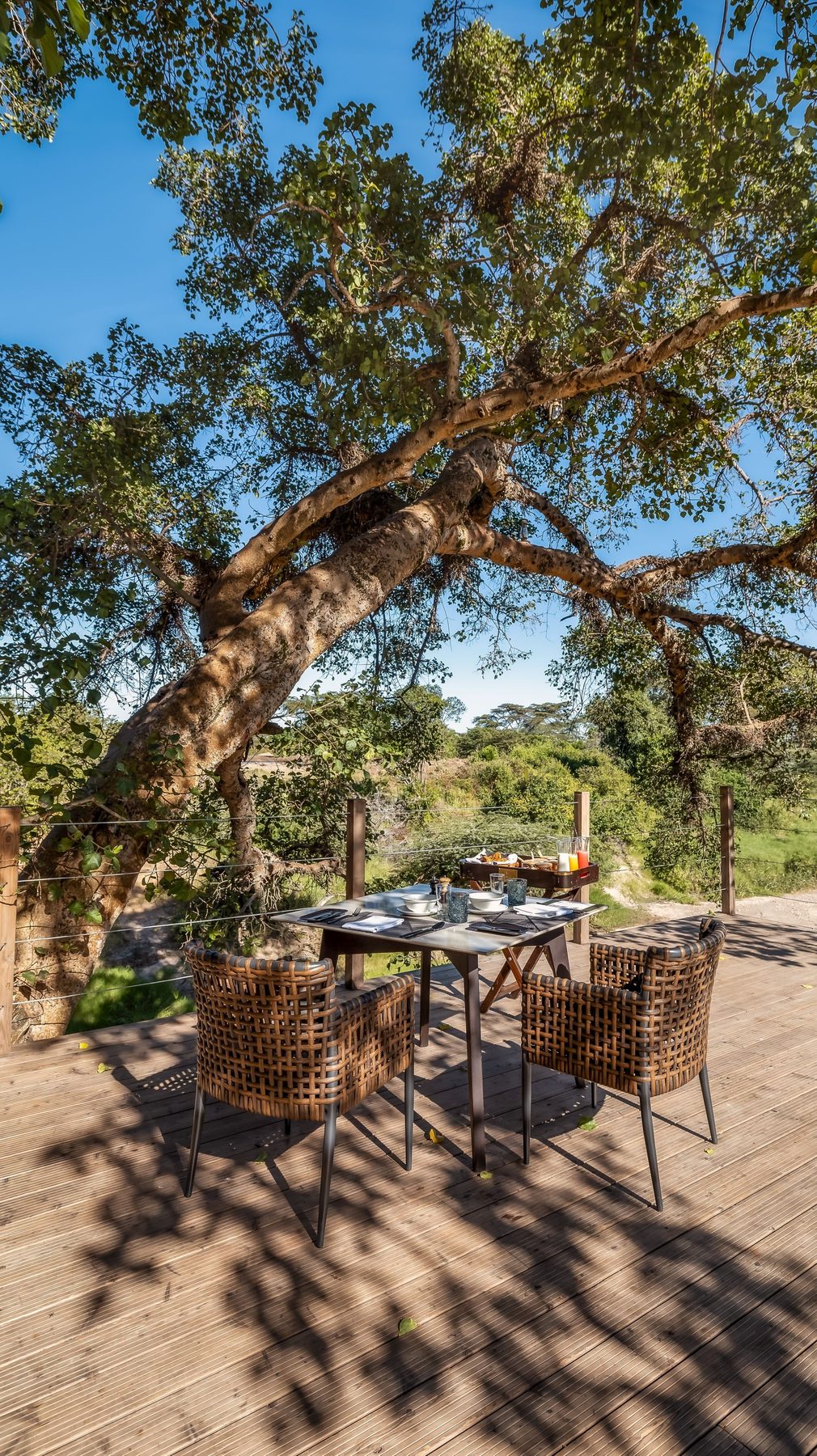 Dining tables in dappled shade on a deck built around large trees at JW Marriott Masai Mara Lodge
