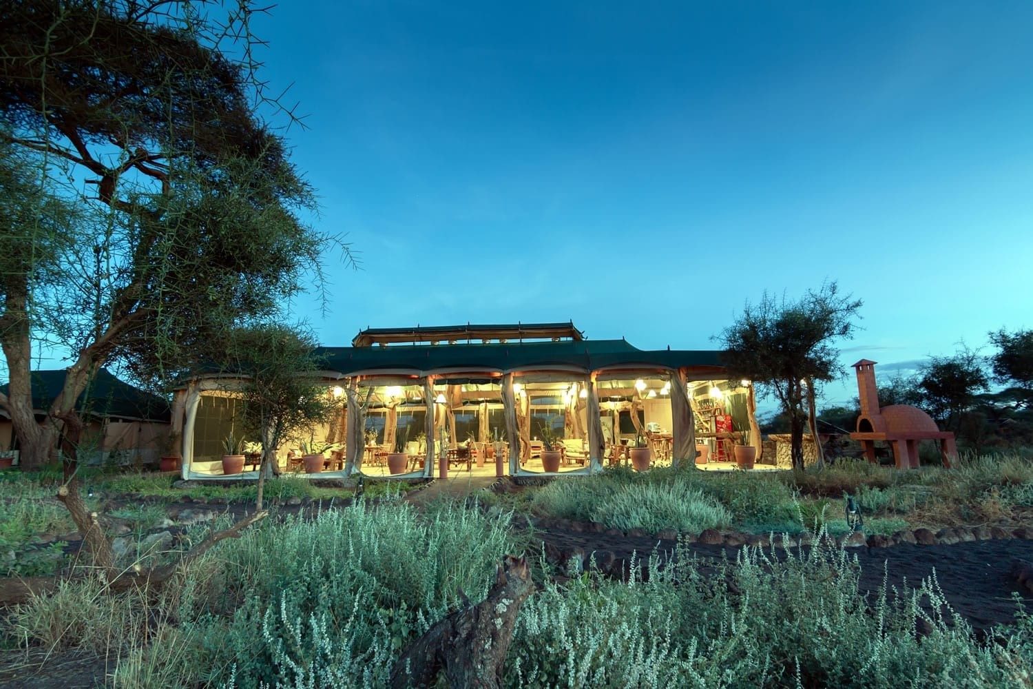 Main building of Kibo Safari Camp glowing with lights at dusk, framed by acacia trees and green shrubs