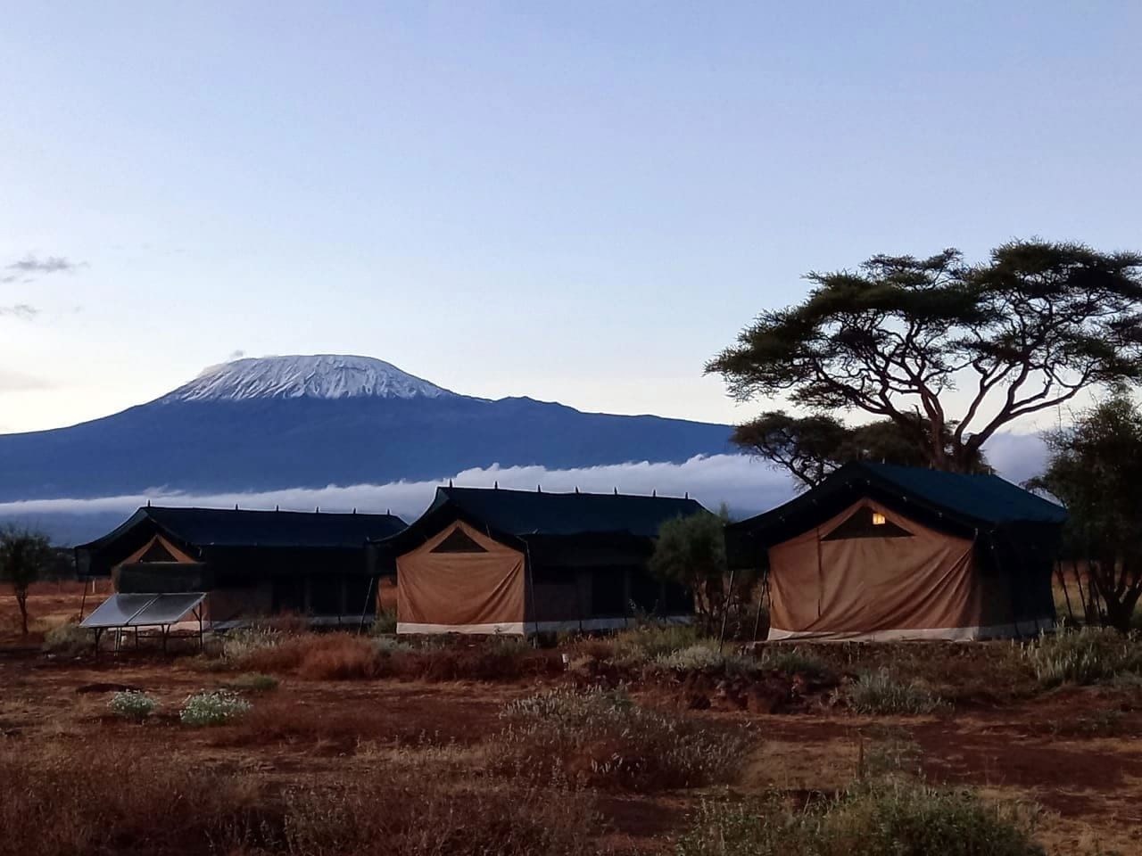 Row of tents among acacias at Kibo Safari Camp, with snow-capped Kilimanjaro rising above the clouds behind