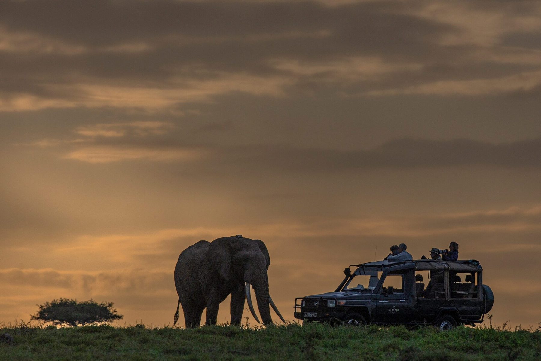 Elephant and a game drive vehicle silhouetted on the horizon under a golden sky in the Olare Motorogi Conservancy