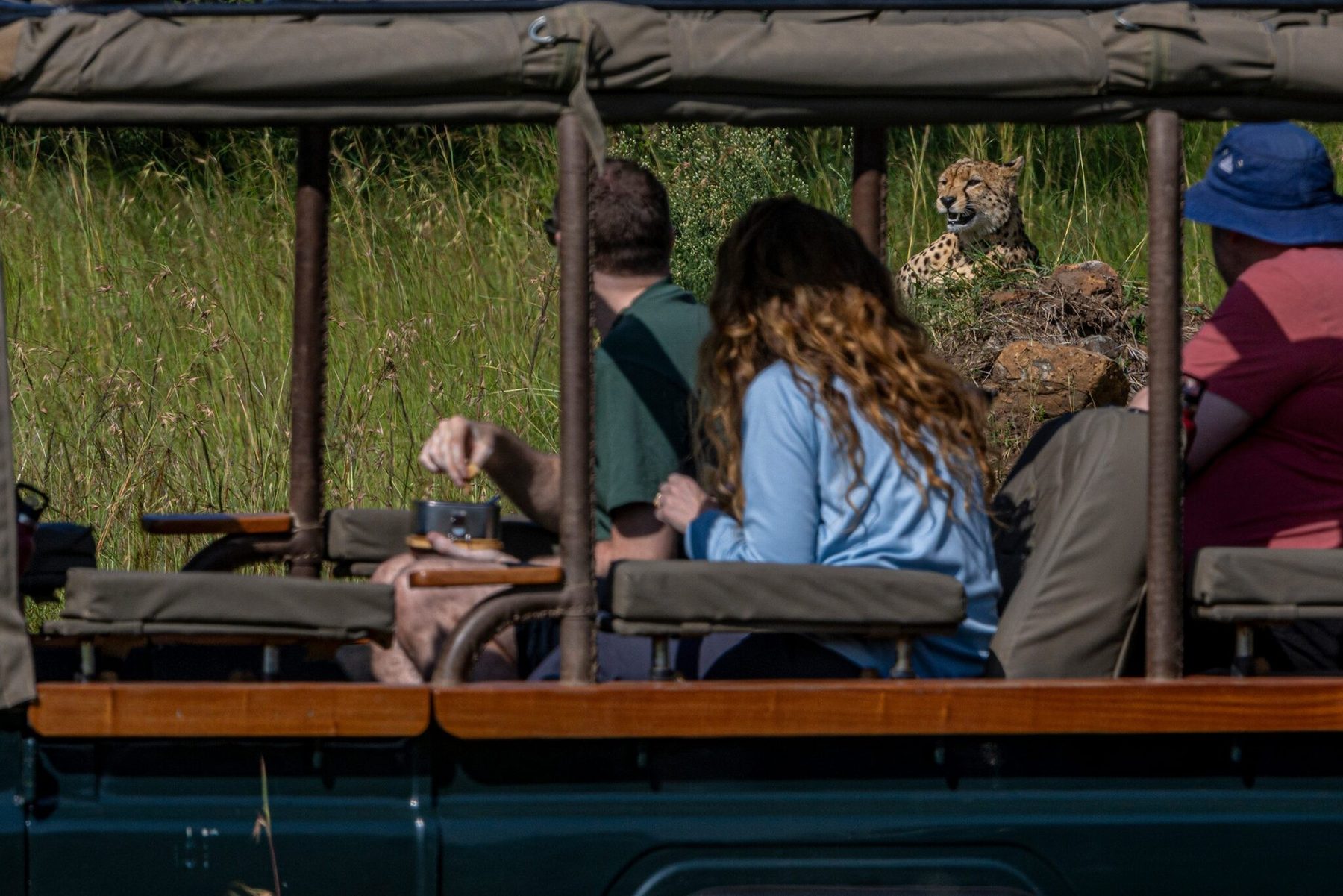 Guests in an open game drive vehicle from Kicheche Bush Olare, with a cheetah resting close by
