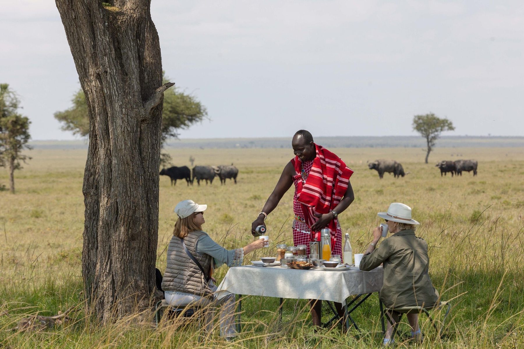 Maasai guide serving guests at a picnic table under a tree, with buffalo grazing on the plains beyond