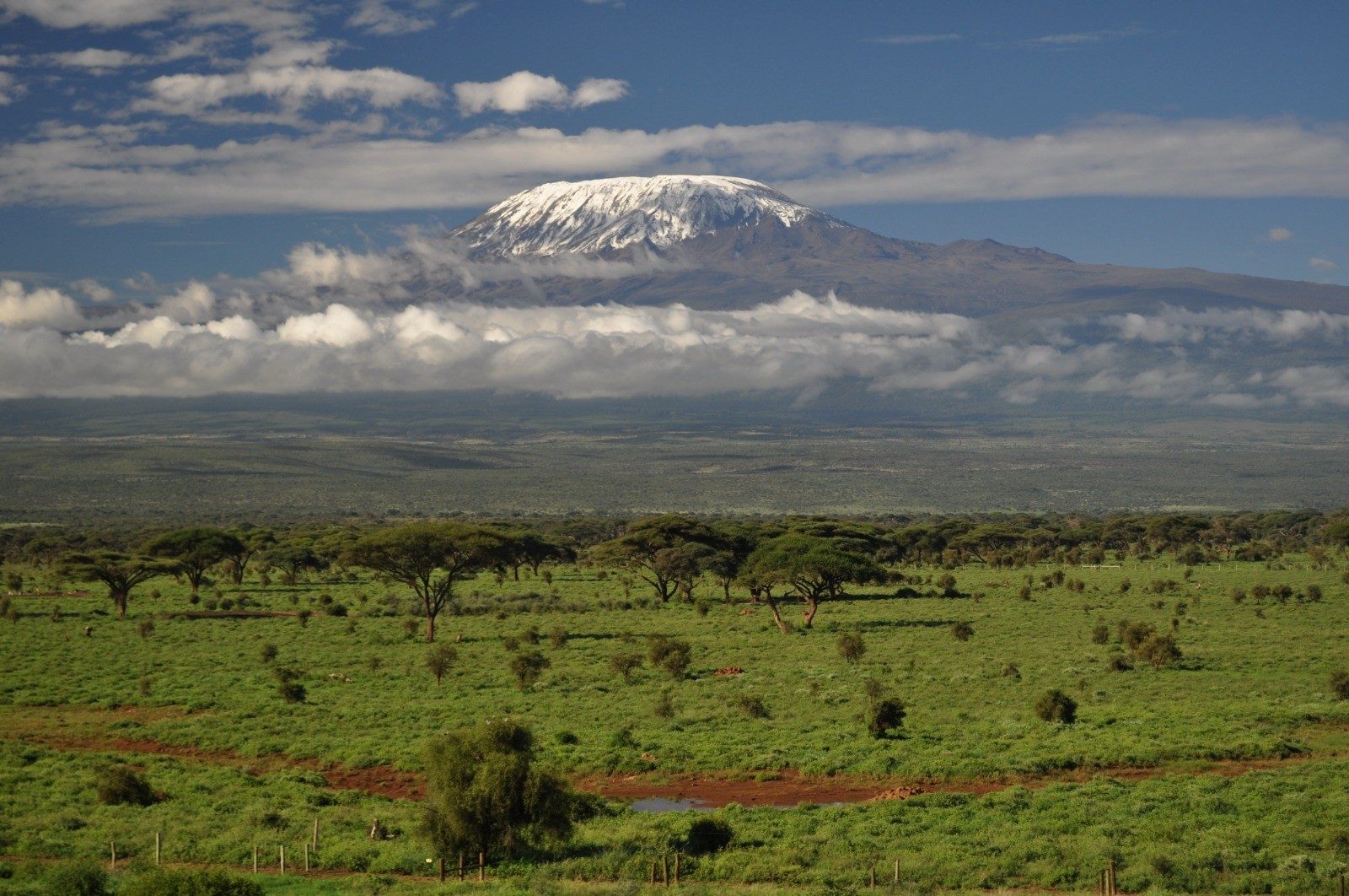 Snow-capped Kilimanjaro rising above clouds over green plains near Kilima Safari Camp