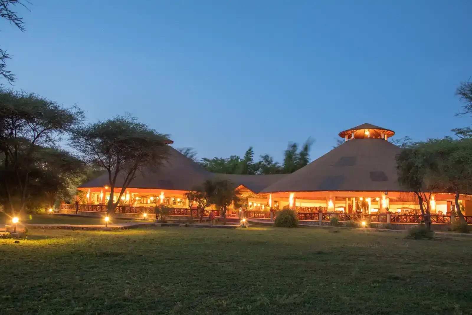 Lit main building with tall thatched roofs at Kilima Safari Camp at dusk, set among acacia trees