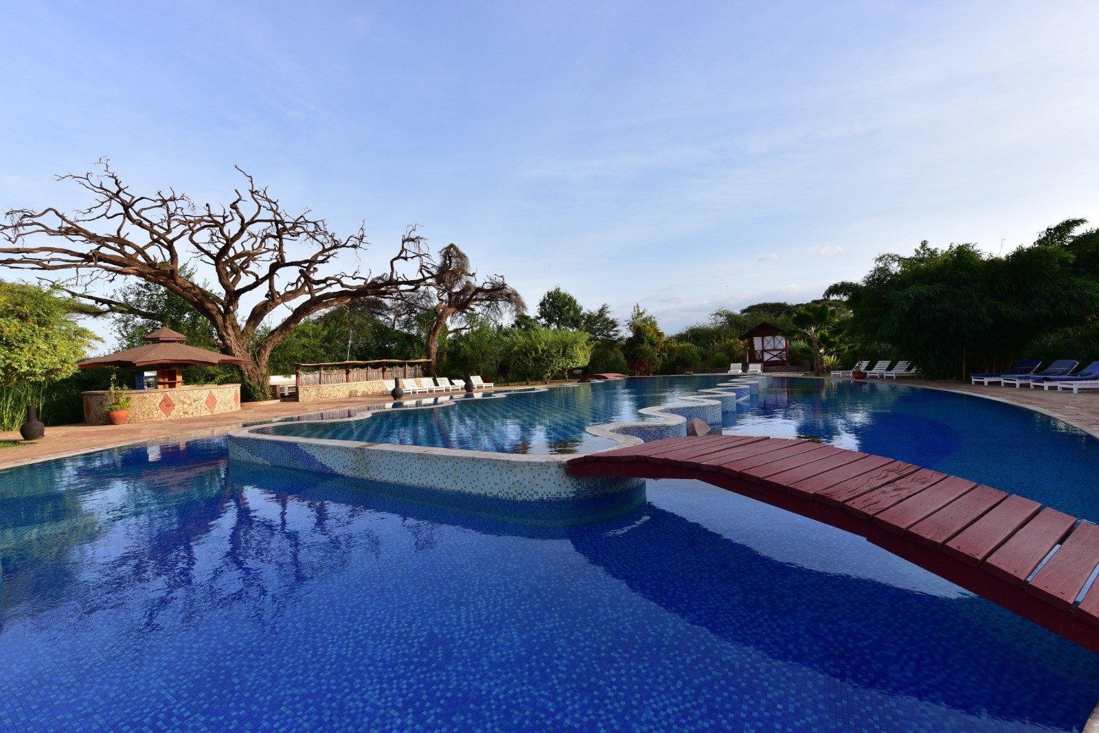 Swimming pool at Kilima Safari Camp with a red wooden footbridge across it, beneath a large spreading tree