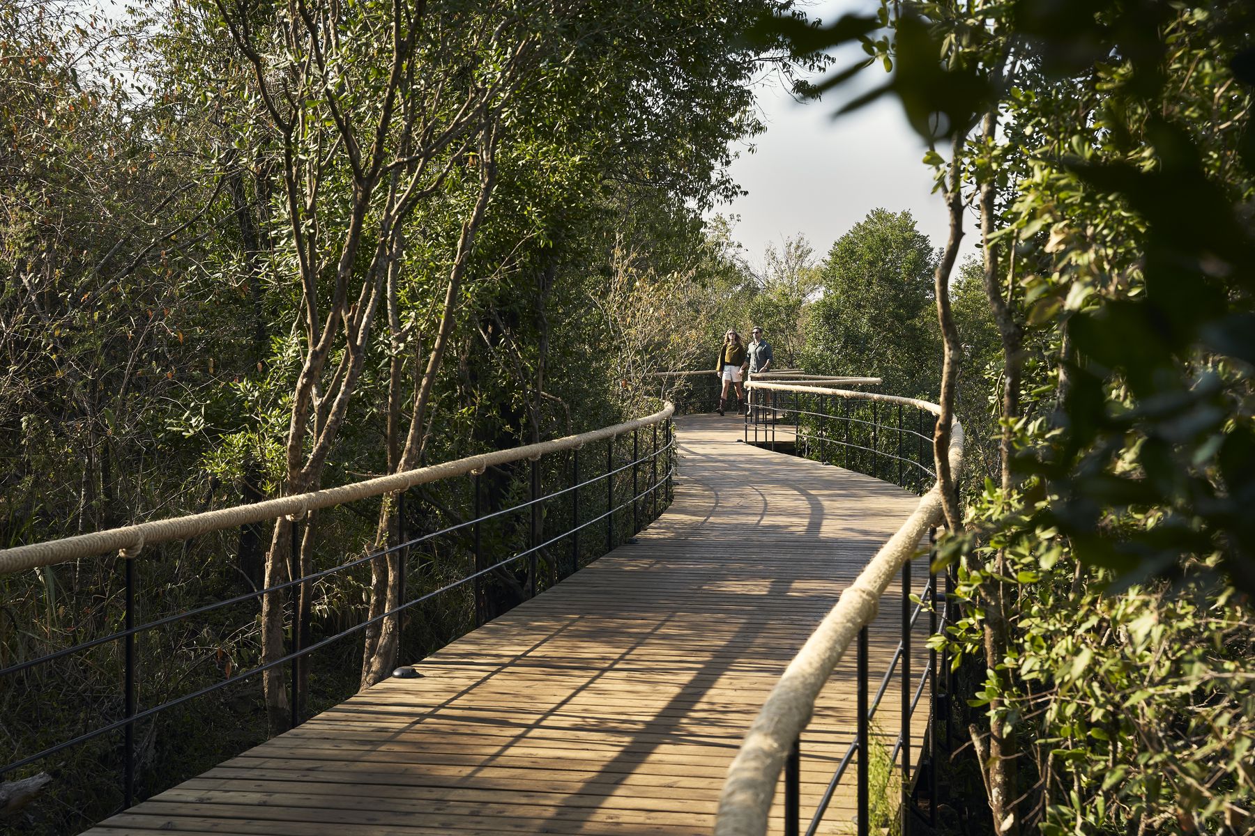 A wooden boardwalk with rope rails curving through the tree canopy at Kinara