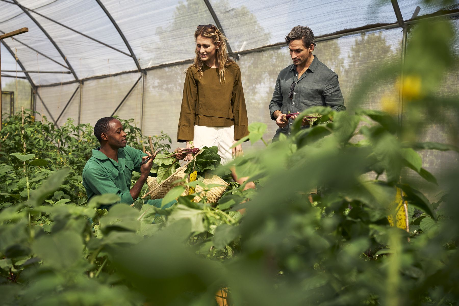 Two guests with a gardener among vegetable plants in the shade house of Kinara’s farm