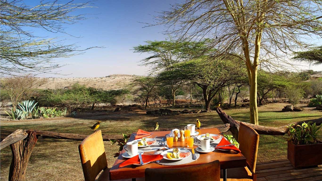 Breakfast table laid with juice and fruit on a deck at Elewana Lewa Safari Camp, overlooking acacia-dotted bush