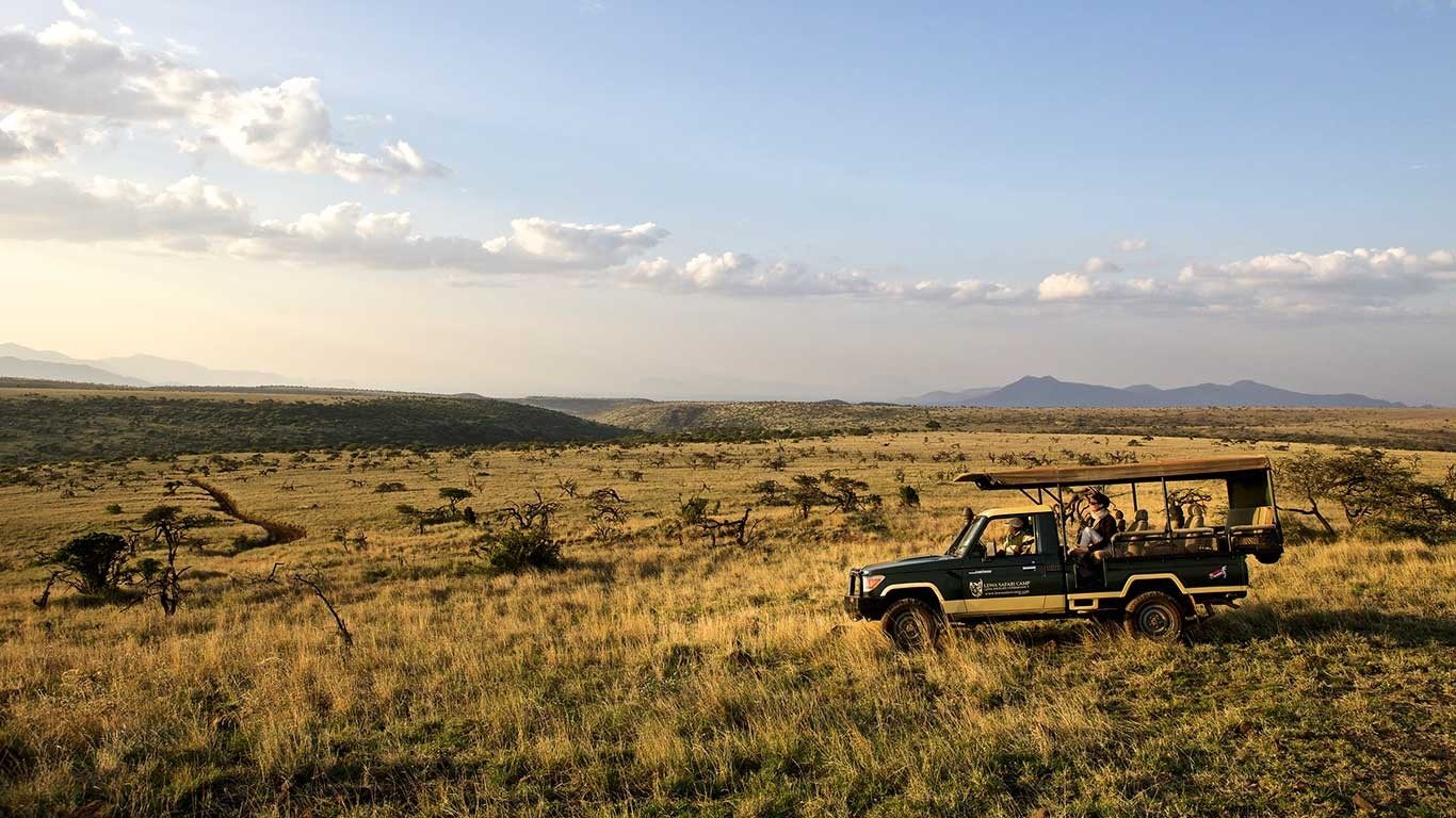 Open safari vehicle crossing golden grassland near Elewana Lewa Safari Camp, with distant hills under a wide sky