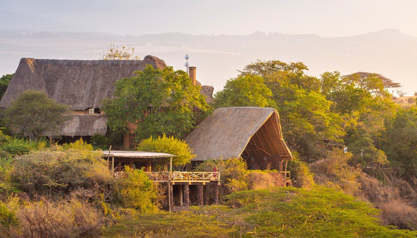 Thatched cottages of Lewa Wilderness among trees on a hillside, with the plains of Lewa beyond in soft morning light