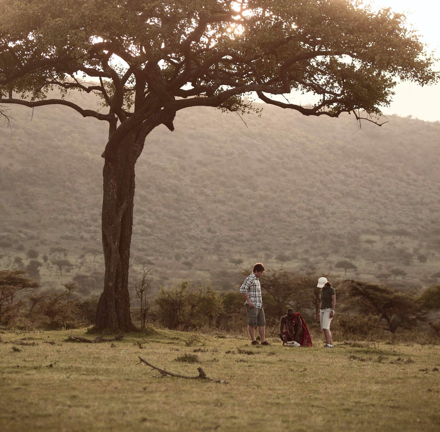 Two guests and a Maasai guide on foot beneath a large acacia tree on the Siana plains
