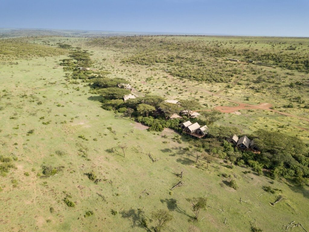 Aerial view of Mara Nyika Camp’s tents along a line of trees across the green plains of the Naboisho Conservancy