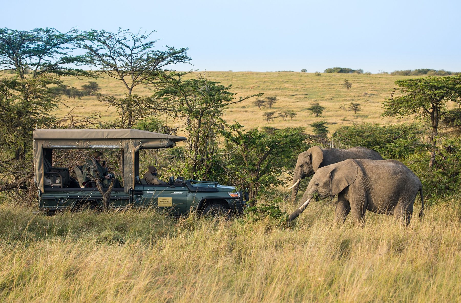 Open game drive vehicle stopped beside two elephants in long grass near Mara Plains Camp
