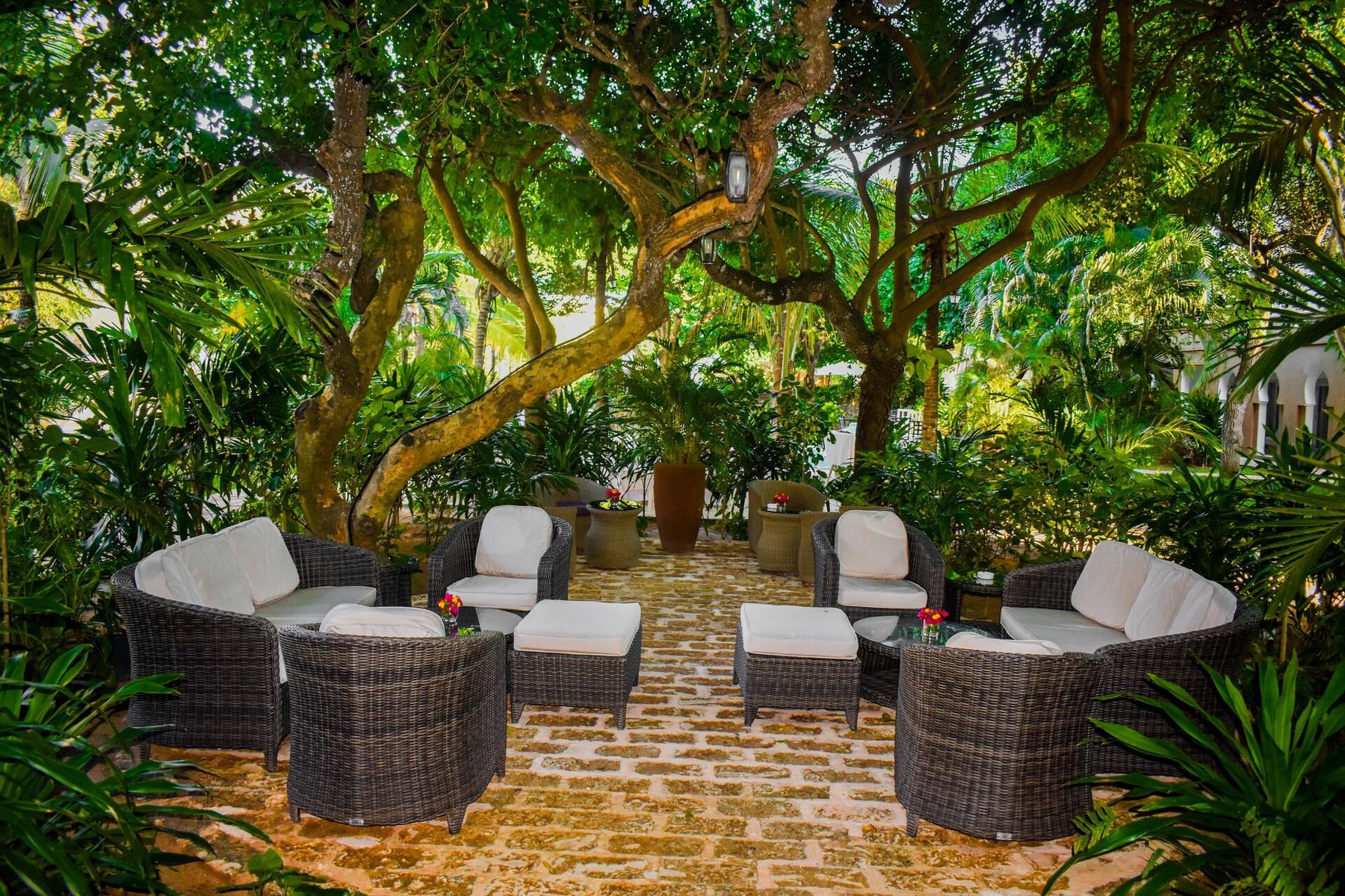 Wicker armchairs on a brick floor under trees in the coffee garden at Medina Palms