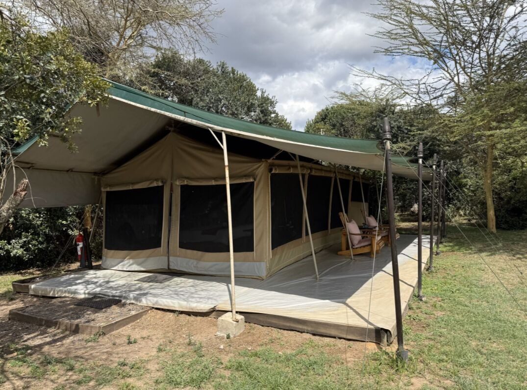 Canvas tent with a green roof and a stone-floored veranda under acacia trees at Ol Pejeta Bush Camp