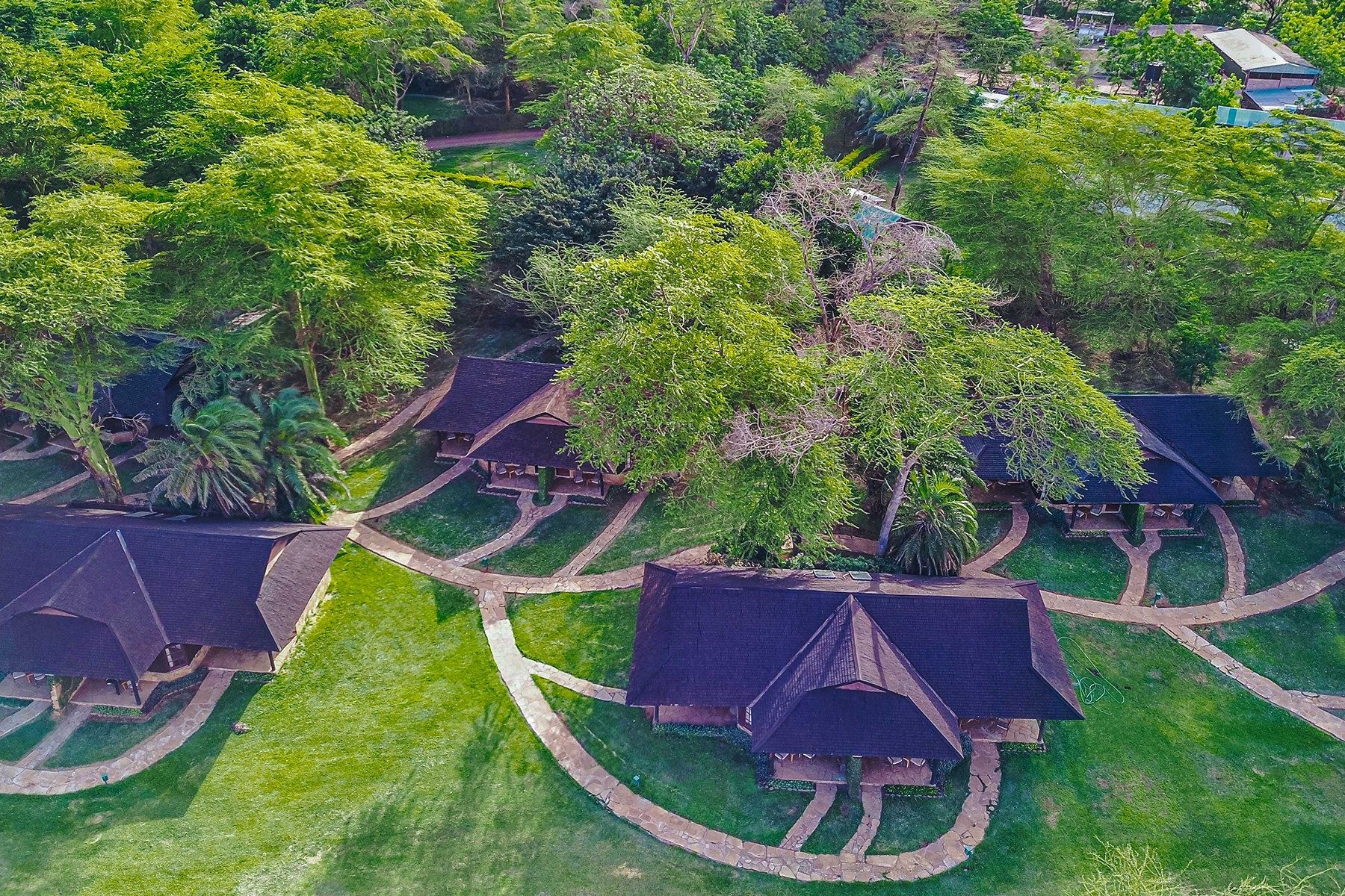 Rows of guest cottages linked by curving paths through lawns and shady trees at Ol Tukai Lodge, seen from above