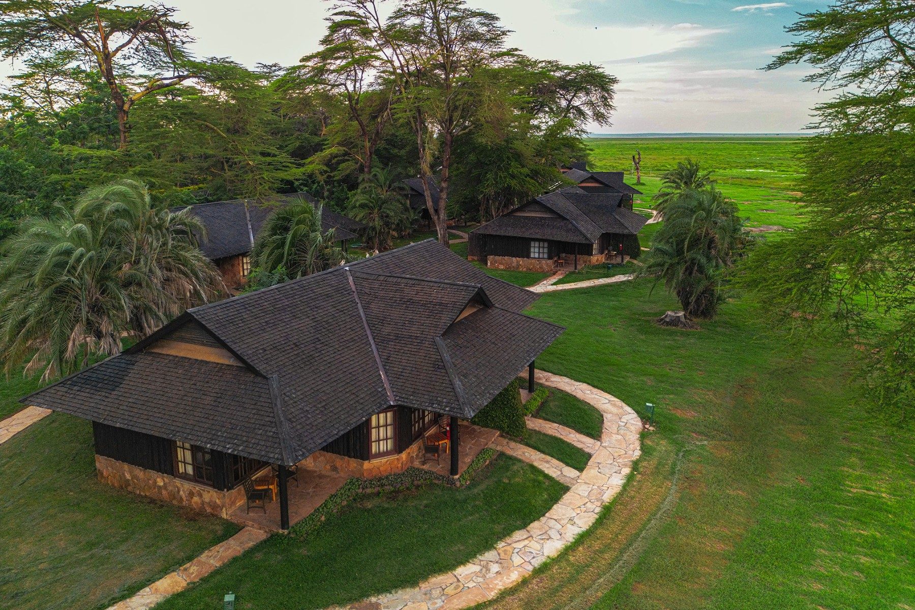 Aerial view of cottages with dark shingled roofs among palms and tall trees at Ol Tukai Lodge, green plains beyond