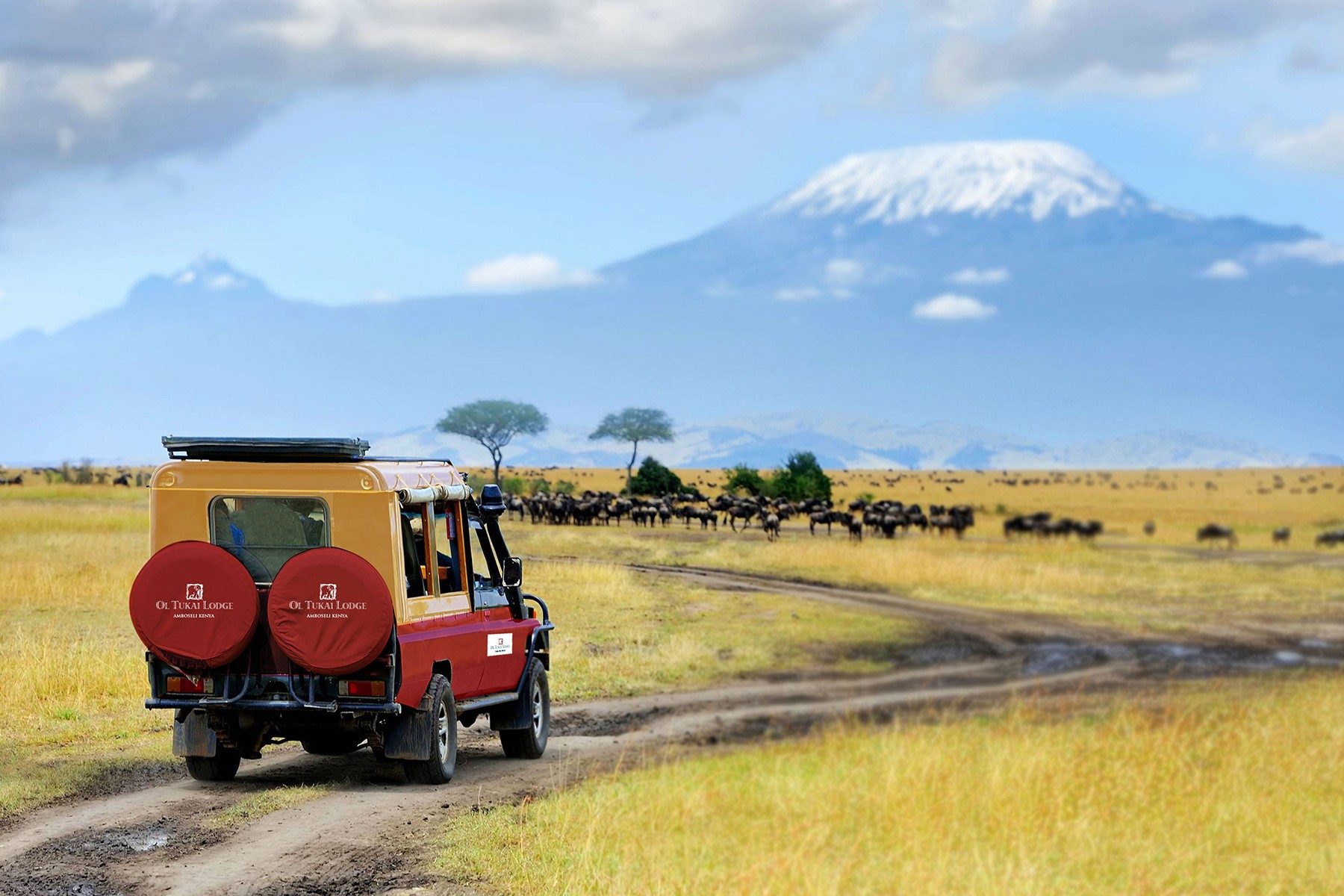 Safari vehicle on a dirt track towards grazing herds beneath snow-capped Kilimanjaro on a game drive from Ol Tukai Lodge