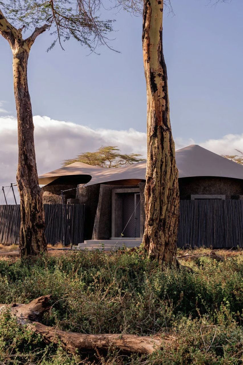 Stone and canvas suite behind a wooden fence and fever trees at Angama Amboseli